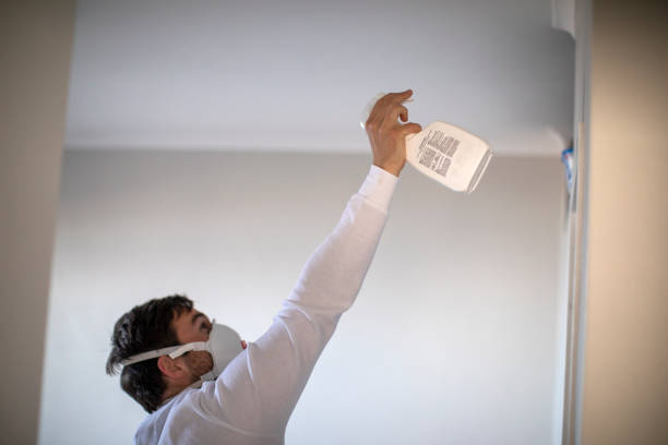 Best Office Mold Removal Services  in Wakefield, VA