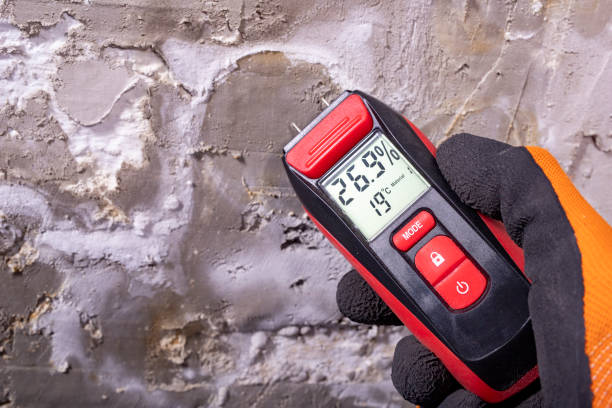 Best Mold Removal Process  in Wakefield, VA